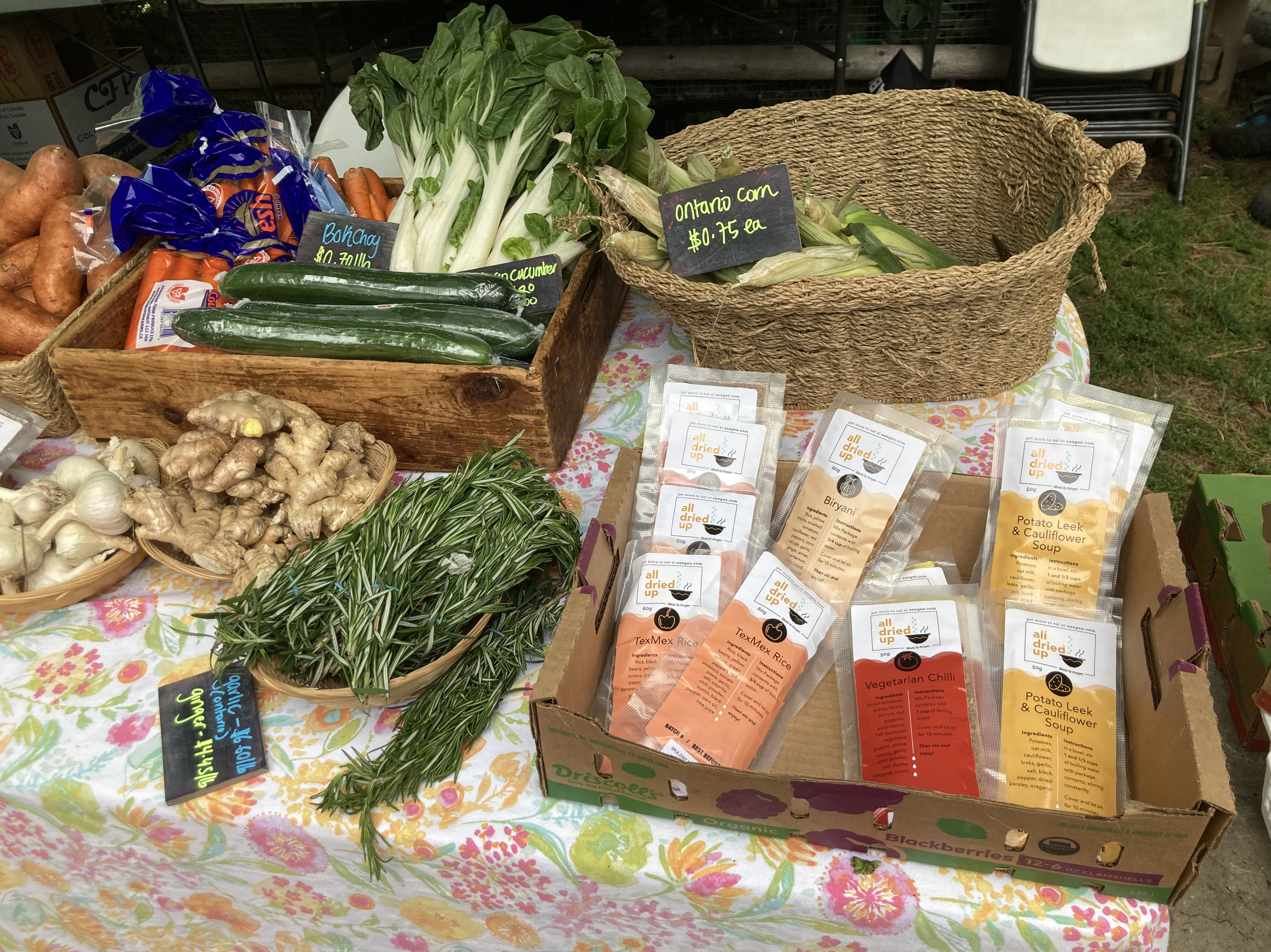 All Dried Up meals from Aangen at summer market table